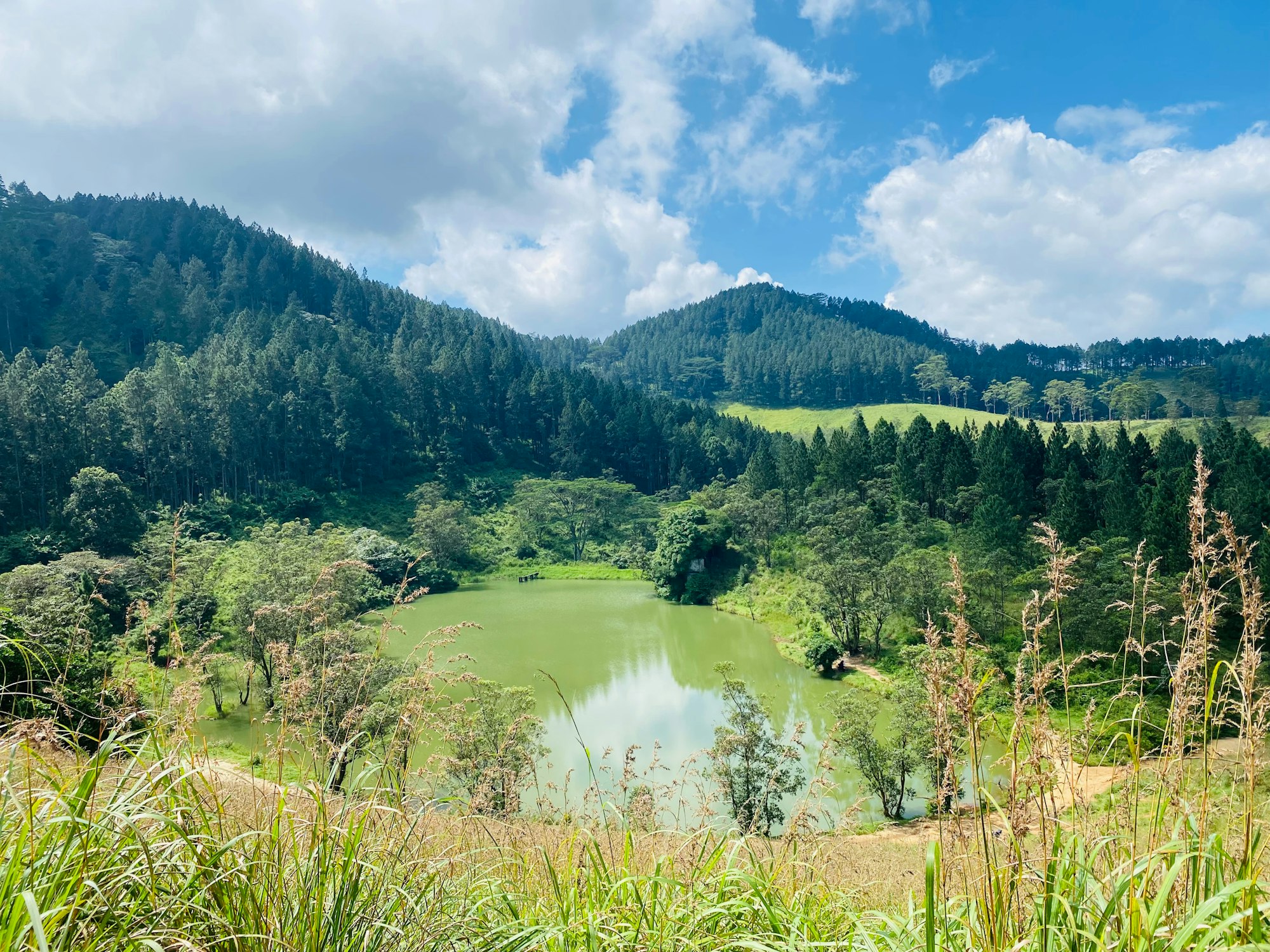 A green ridge with a viewpoint above the valley at Ella