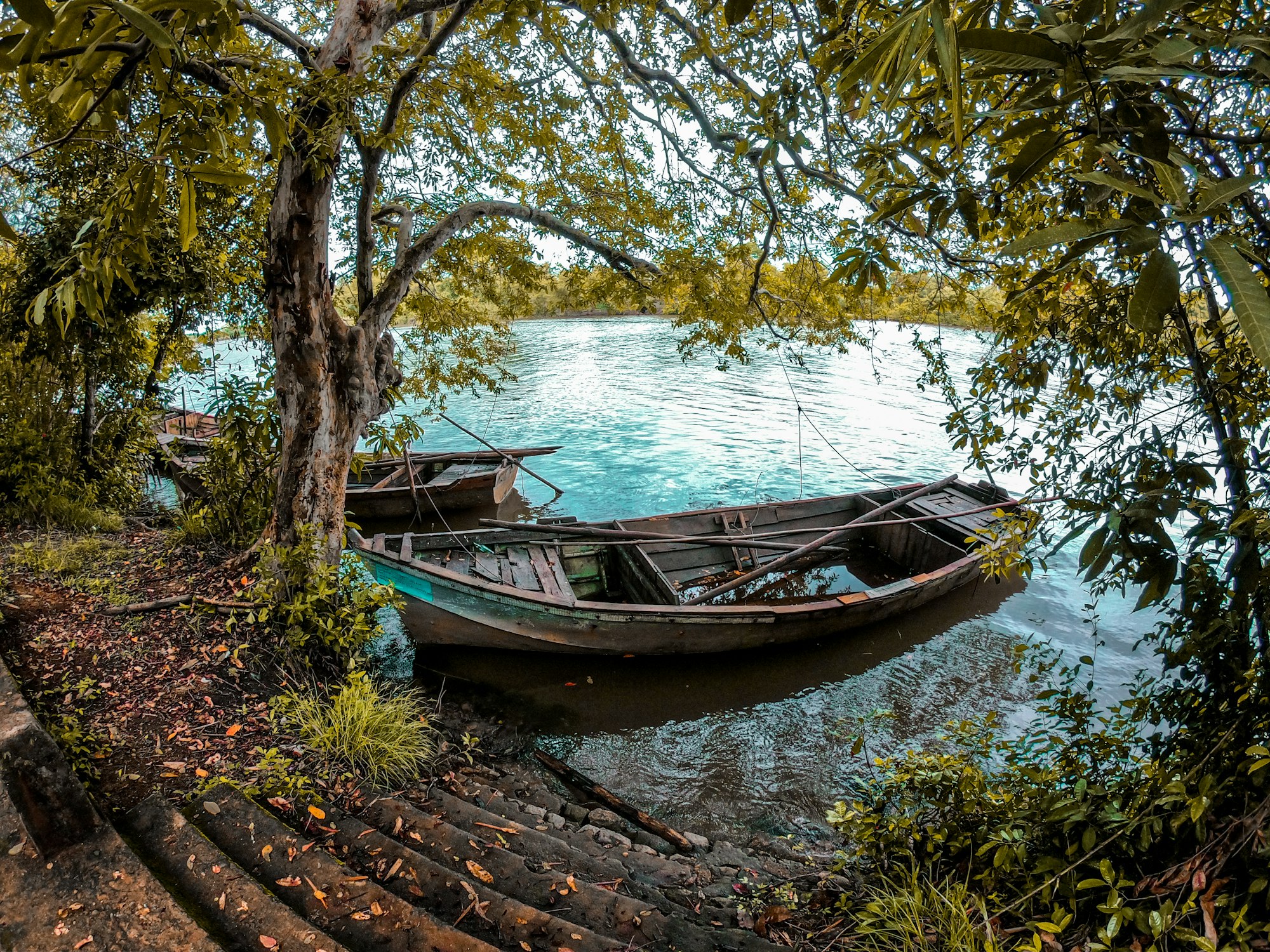 A small boat on the Madu River between mangrove islands